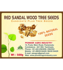 Red Sandal Wood / Lal Chandan Tree Seed 1 Kg